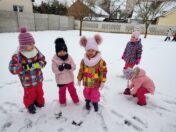 IMG_20211206_104933