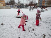 IMG_20211206_105352