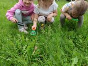 IMG_20250603_105321
