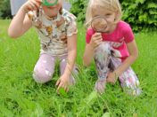 IMG_20250603_105346