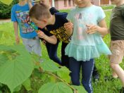 IMG_20250603_110833