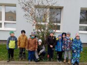 IMG_20250407_110858