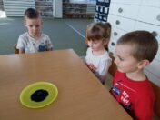 IMG_20250228_102531