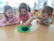IMG_20250228_102759