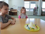 IMG_20250228_104732