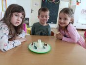 IMG_20250228_104849