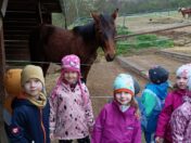 IMG_20250415_092317
