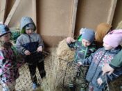 IMG_20250415_092537