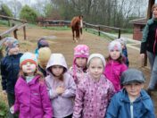 IMG_20250415_093705