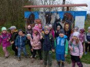 IMG_20250415_110530