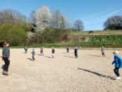 IMG_20250417_085046