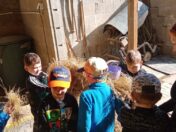 IMG_20250417_090932