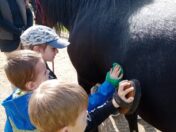 IMG_20250417_094241