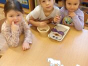 IMG_20251111_081312_1