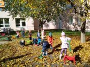 d62e393b-cd4a-4446-8716-b4aef7f21675