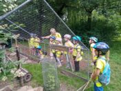 IMG_20260617_093926