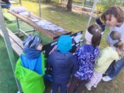 IMG_20260424_094018