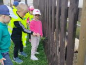 IMG20260522111419